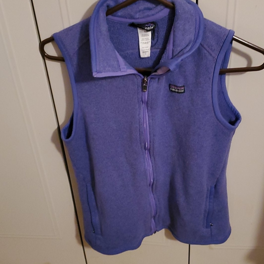 Patagonia Purple Vest